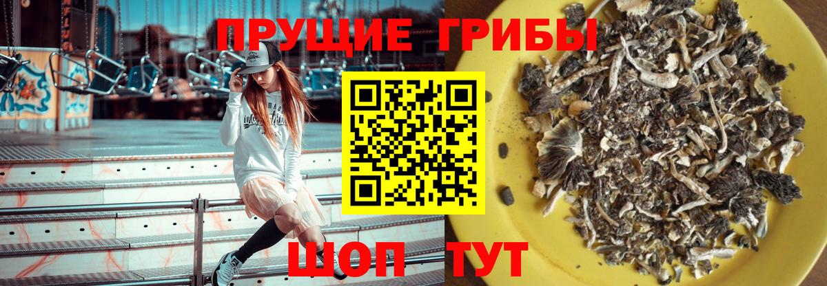 закладка  Галлюциногенные грибы Psilocybine cubensis  Вход с VPN  Галлюциногенные грибы прущие грибы  Калач-на-Дону 