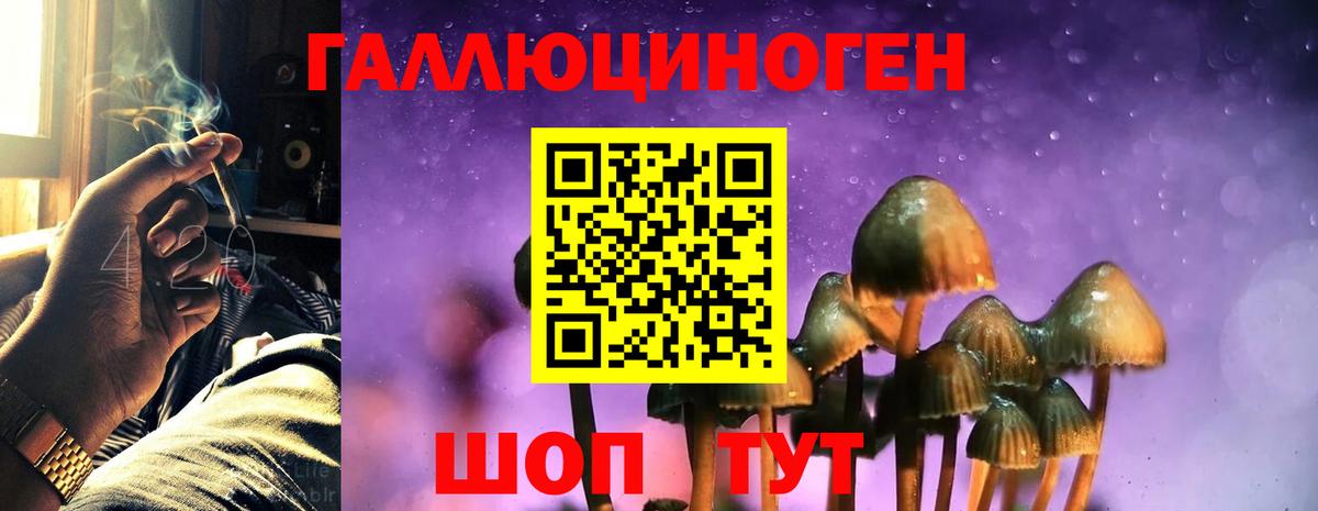 Галлюциногенные грибы MAGIC MUSHROOMS Калач-на-Дону