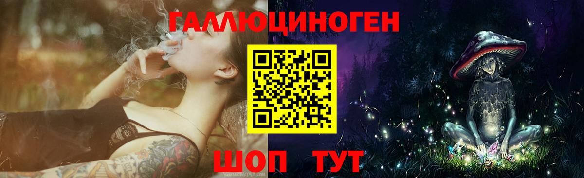 Псилоцибиновые грибы Psilocybine cubensis  Калач-на-Дону 